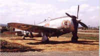 Col James Mullins (CO of the 507th FG) P-47 'Snorting Bull 3rd' (St  Trond Belgium 1944).jpg (44101 bytes)