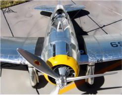 Mike McLeod's amazing P-35